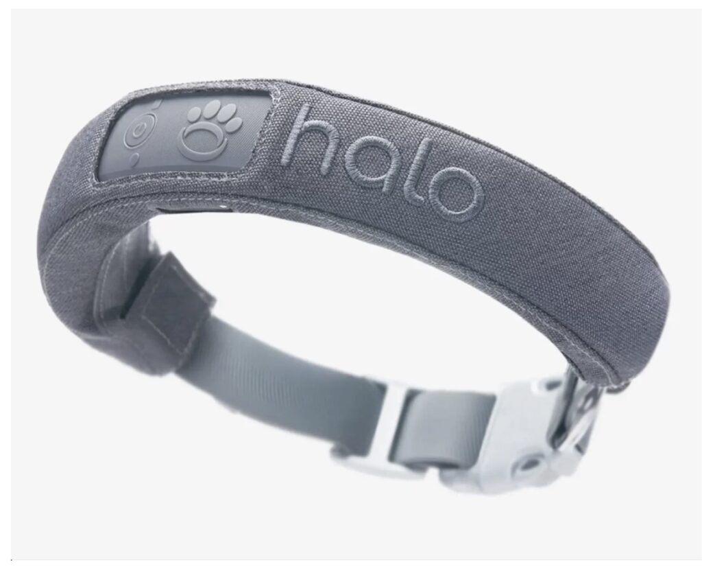 Halo Dog Collar Review Is it Really Worth the Price? (2023 Upd.) LA Weekly