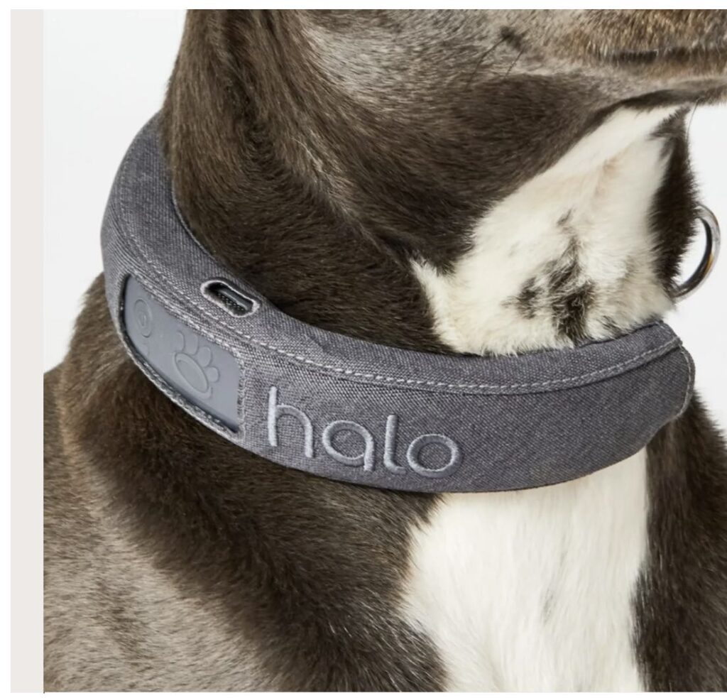 Halo Dog Collar Review Is it Really Worth the Price? (2023 Upd.) LA