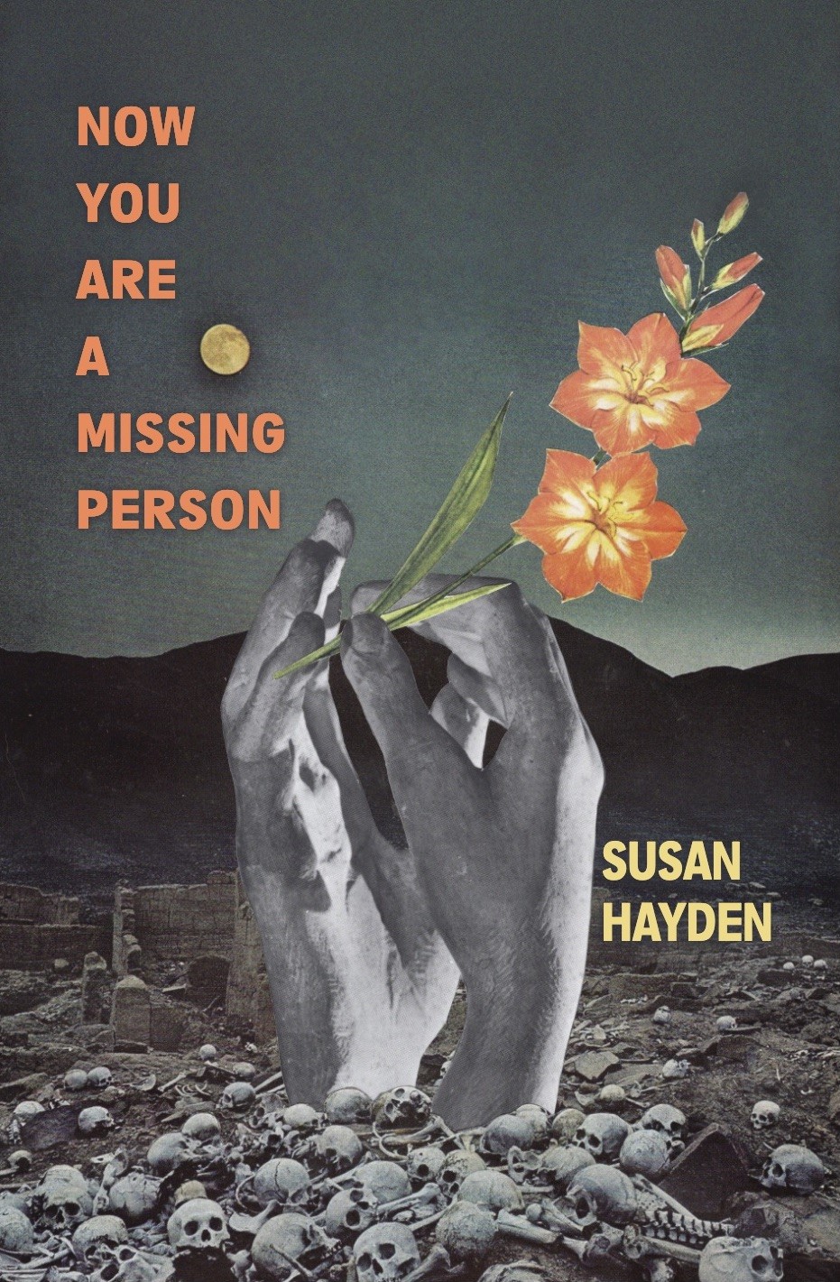 Susan Hayden book