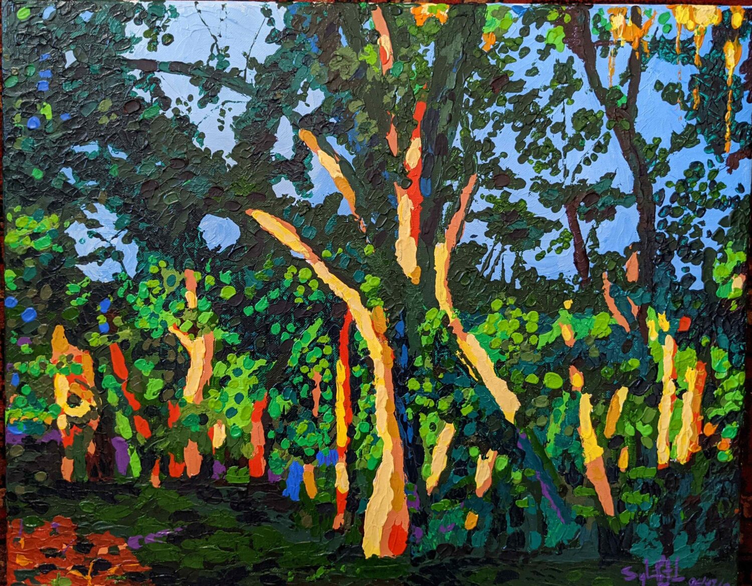 Paso Robles Woods II 16x20 2022